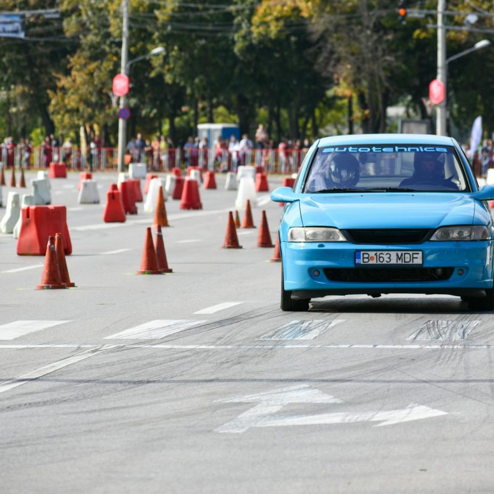 pexels-didsss-9547712